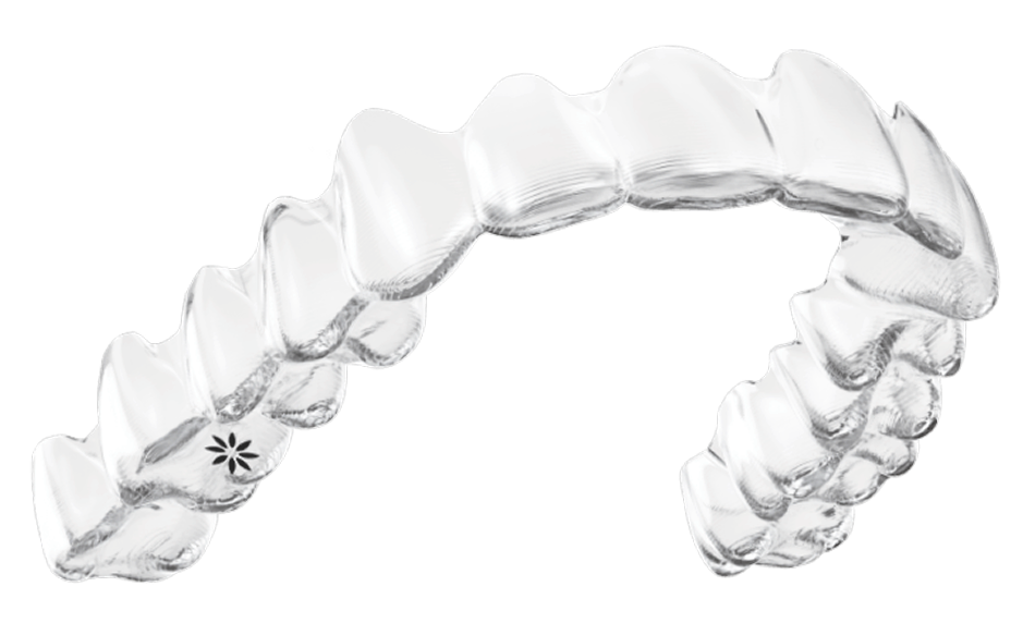 aparat-dentar-indivizil