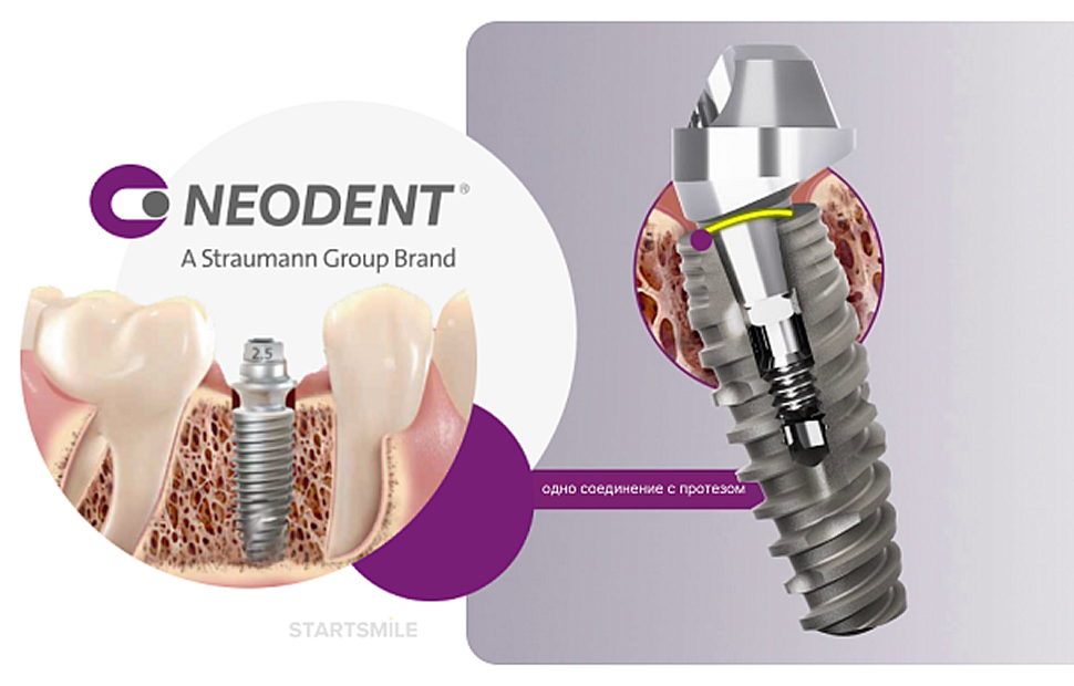 Rectangle 703 neodent