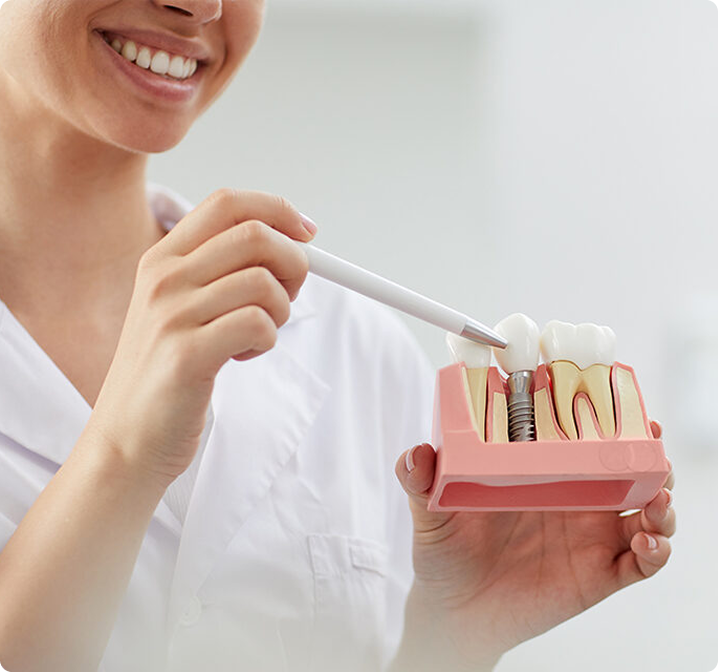 inno23 inno dentesse